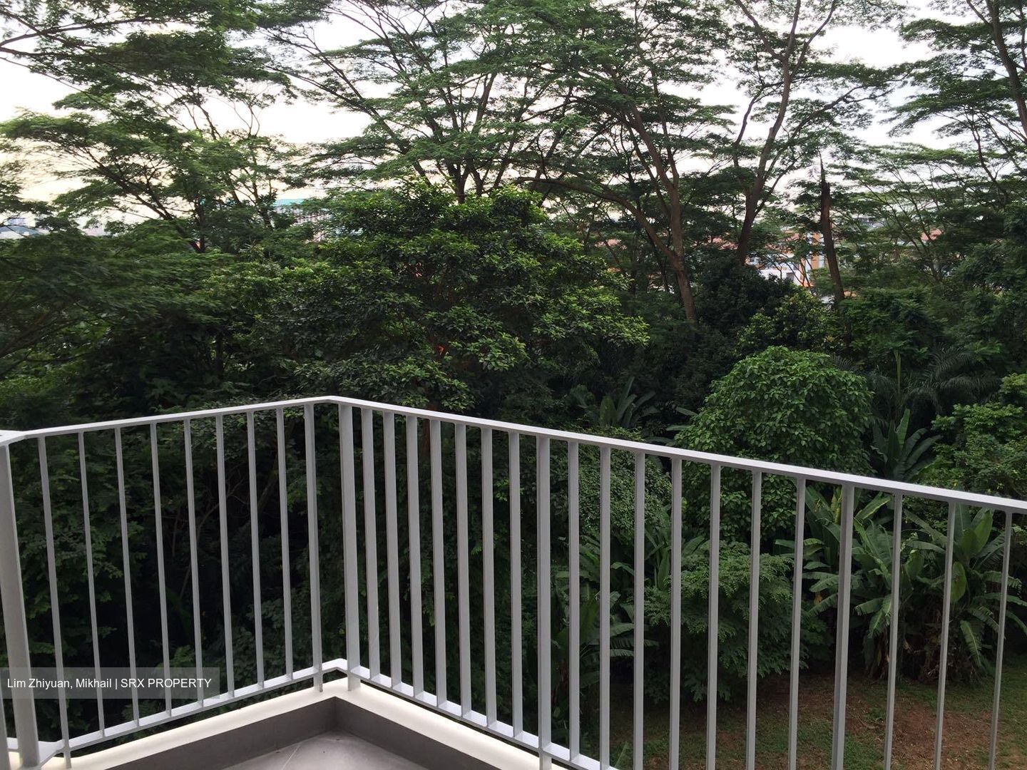 The Skywoods (D23), Condominium #579042481